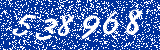 Capcha image