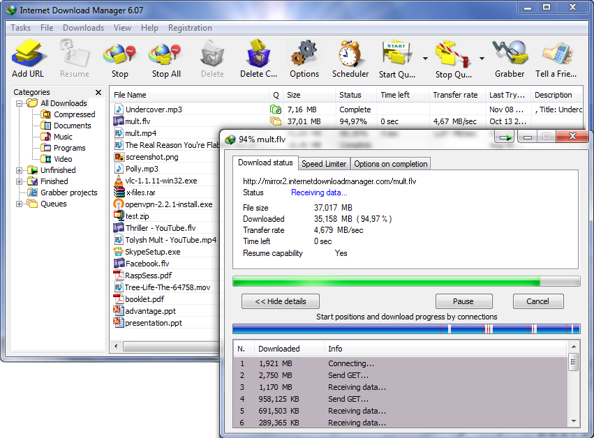 Internet Download Manager screenshot