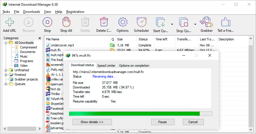 Internet Download Manager screenshot
