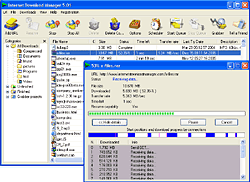Internet Download Manager screenshot 250