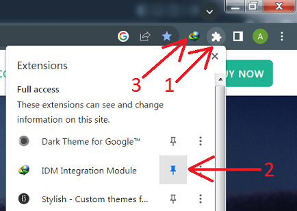 How to pin IDM extension in Chrome