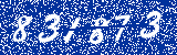 Capcha image