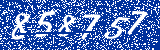 Capcha image