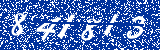 Capcha image